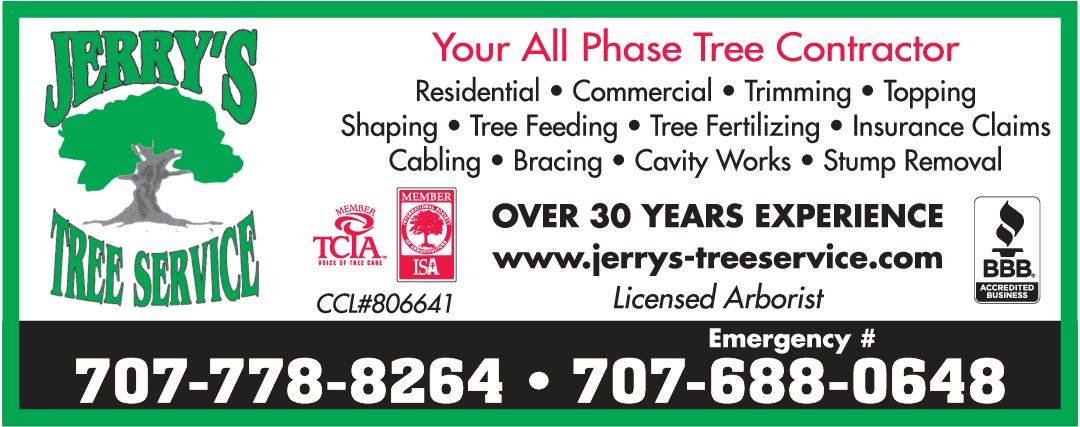 Jerry's Tree Service