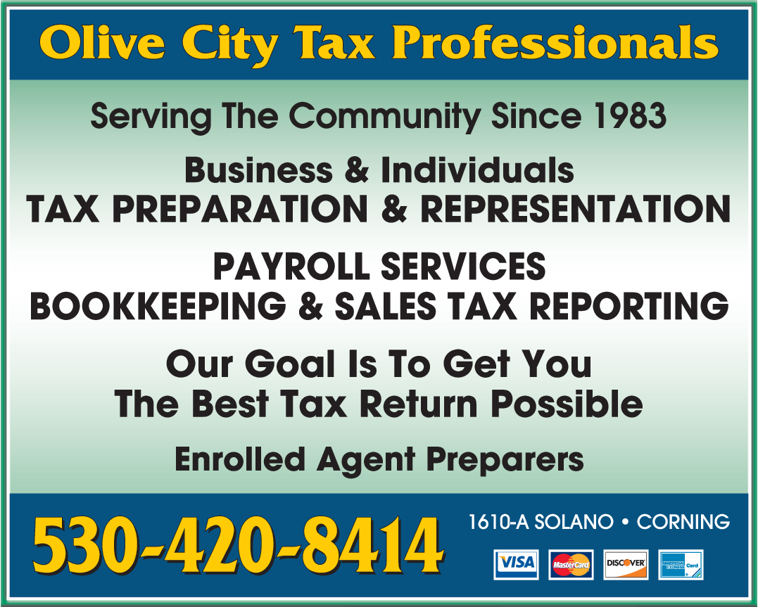 Olive City Tax Professionals