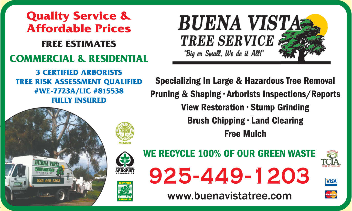 Buena Vista Tree Service
