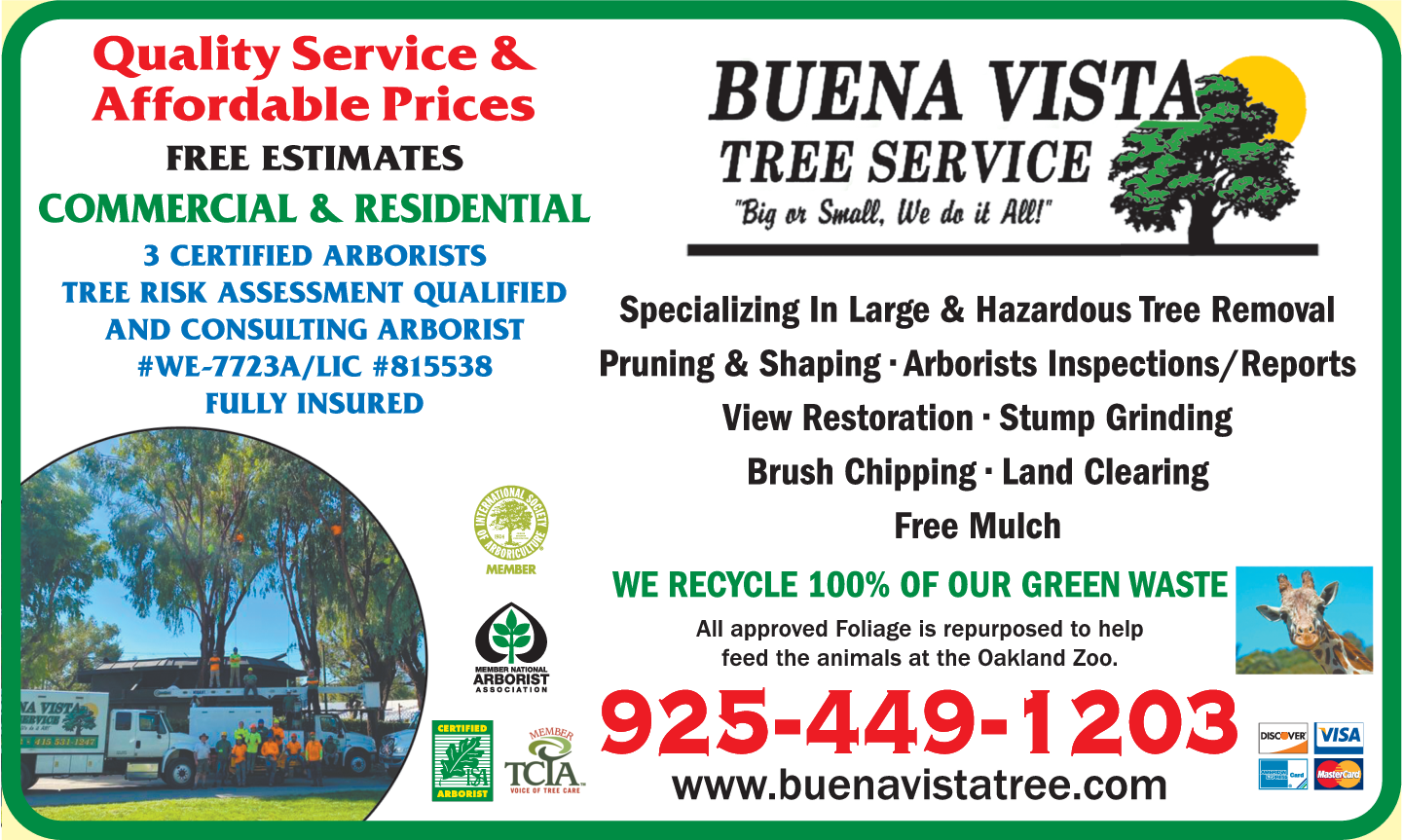 Buena Vista Tree Service