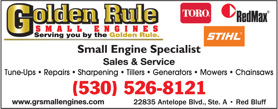 Golden Rule Small Engines